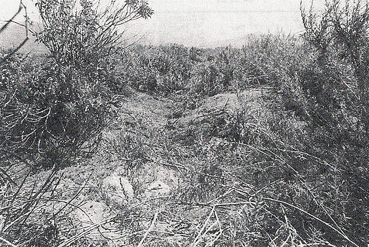 Bishop Nathan C.Tenny ditch